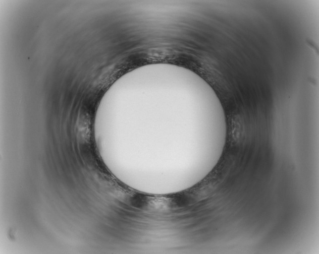 X0000099550226200805301527