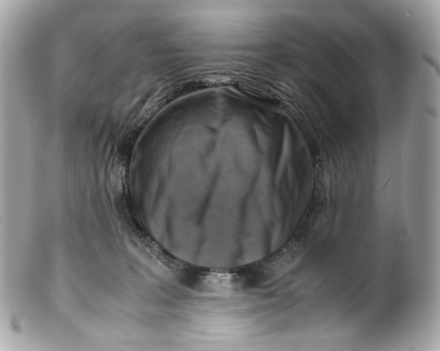 X0000099550227200805301527