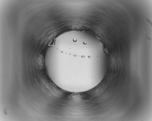 X0000099550228200805301527