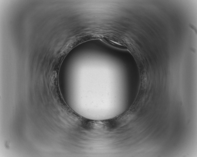 X0000099550229200805301527