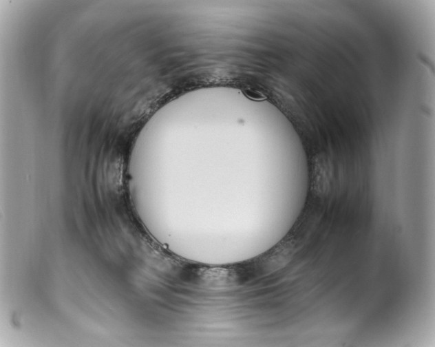 X0000099550230200805301527