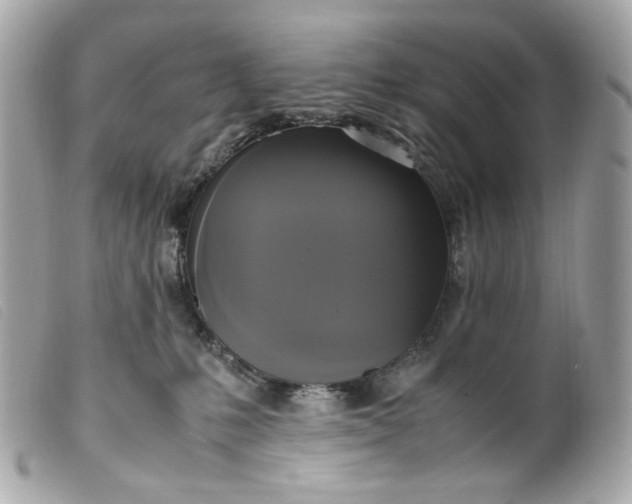 X0000099550231200805301527