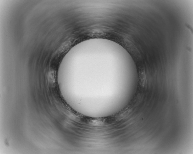 X0000099550232200805301527