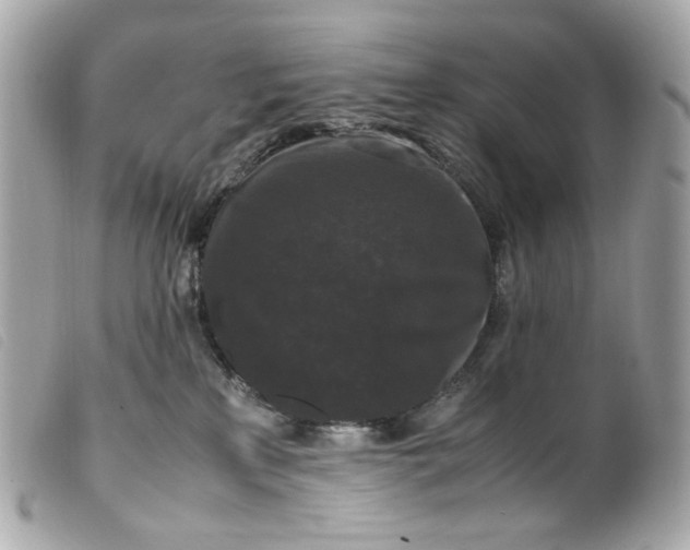 X0000099550233200805301527