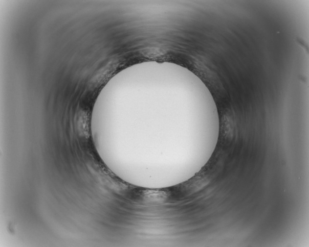 X0000099550234200805301527