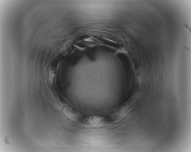 X0000099550235200805301527