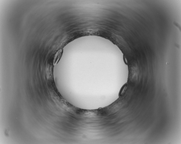 X0000099550236200805301527