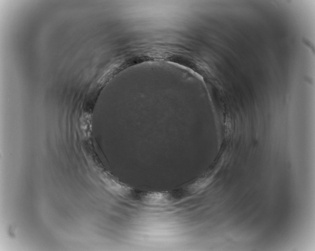 X0000099550237200805301527