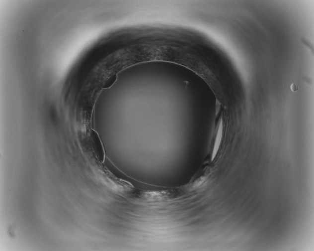 X0000099550239200805301527