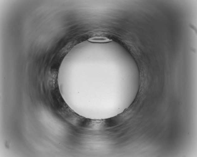 X0000099550240200805301527