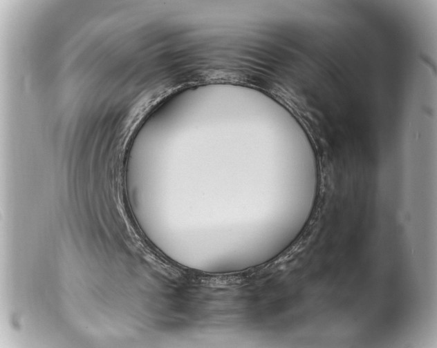 X0000099550241200805301526