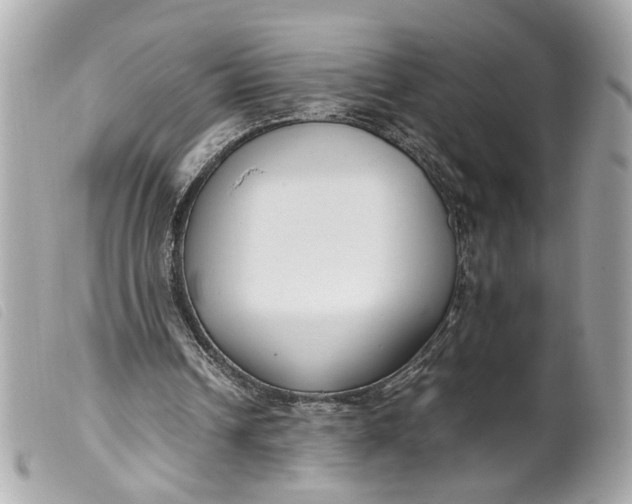 X0000099550242200805301526