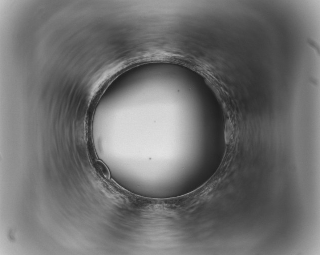 X0000099550244200805301526