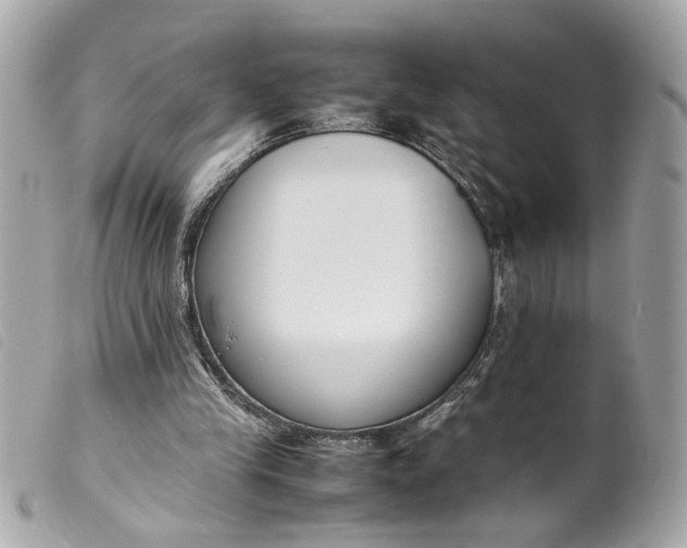 X0000099550245200805301526