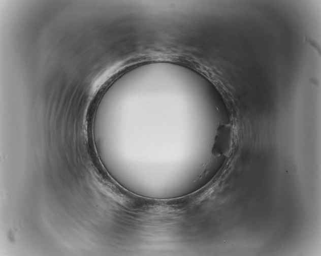 X0000099550246200805301526