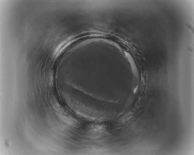 X0000099550247200805301526