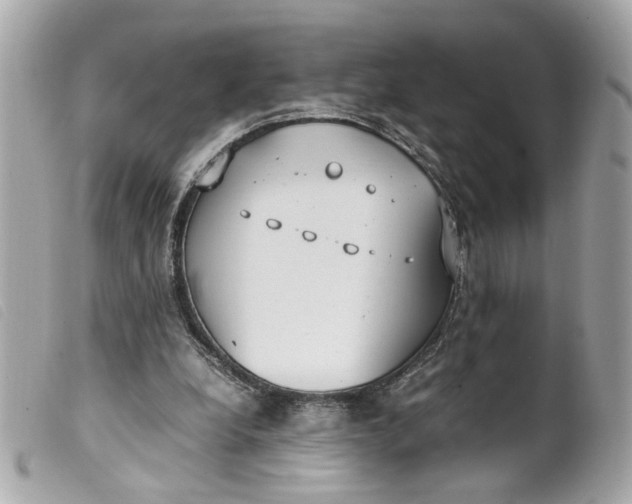 X0000099550248200805301526