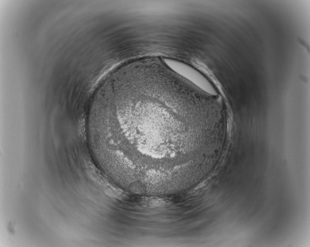 X0000099550249200805301526