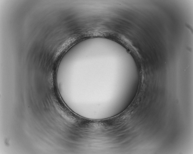 X0000099550250200805301526