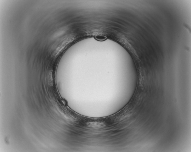 X0000099550251200805301526