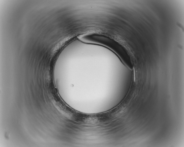 X0000099550252200805301526