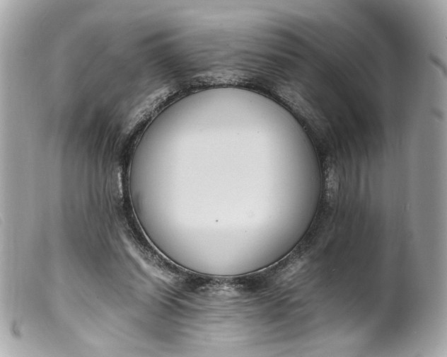 X0000099550254200805301526