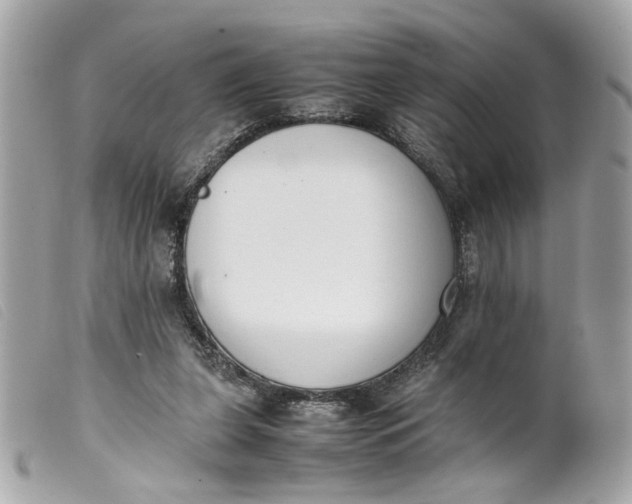 X0000099550255200805301526