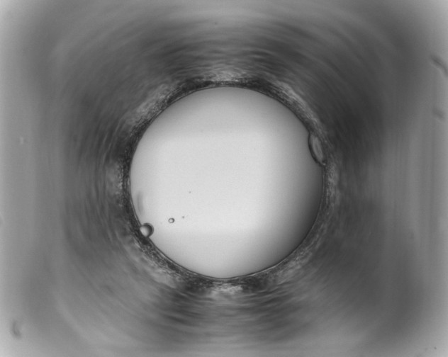 X0000099550257200805301526