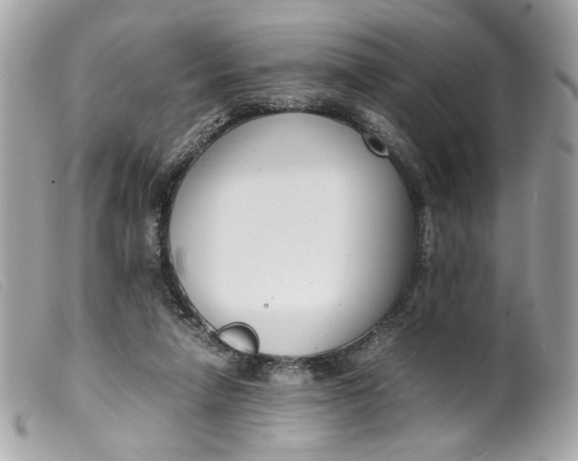 X0000099550258200805301526