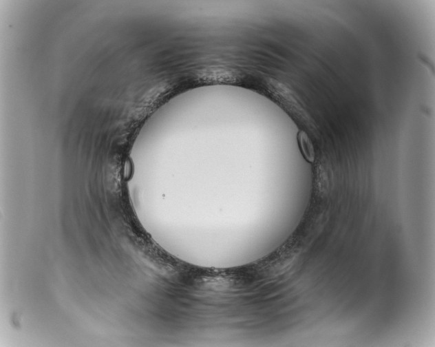 X0000099550259200805301526