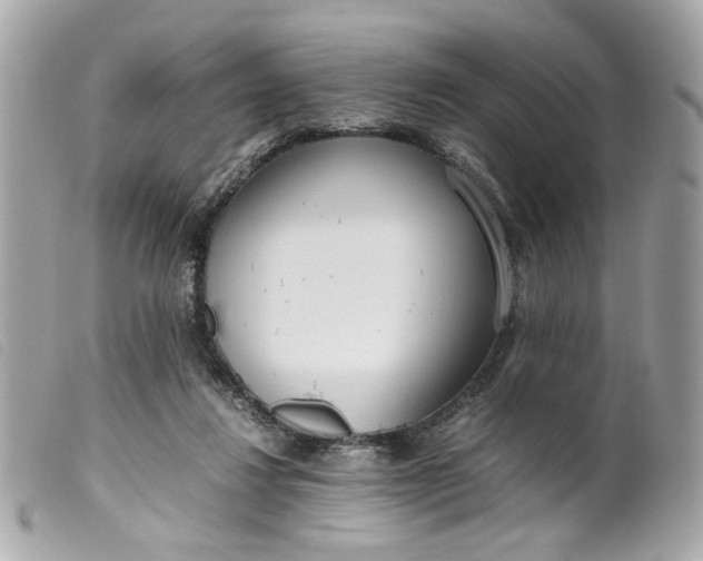 X0000099550260200805301526