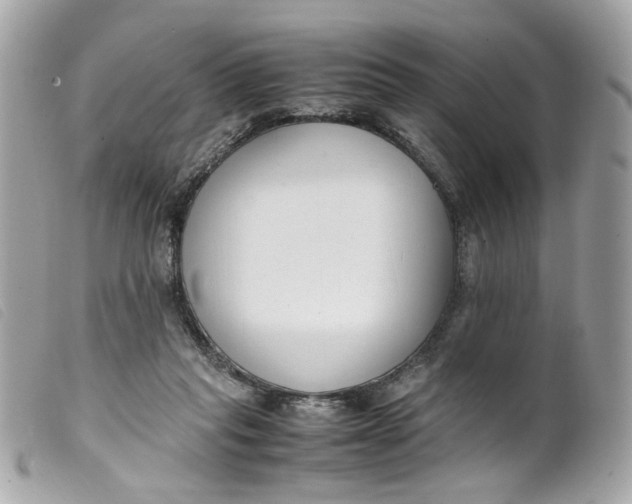 X0000099550261200805301526