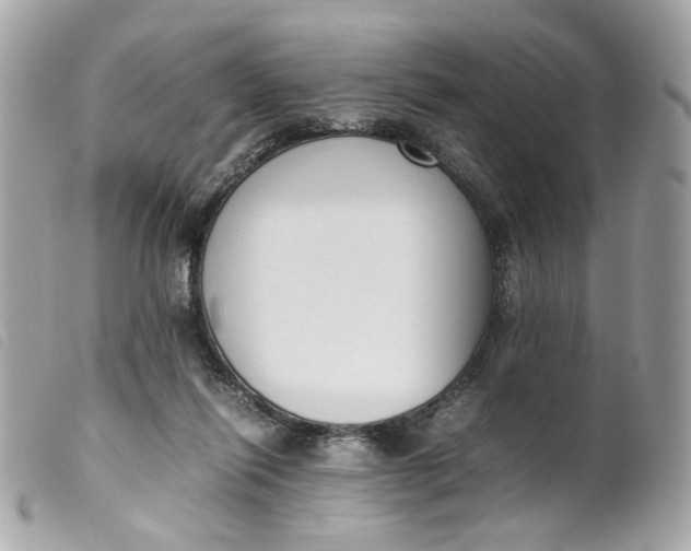 X0000099550262200805301527