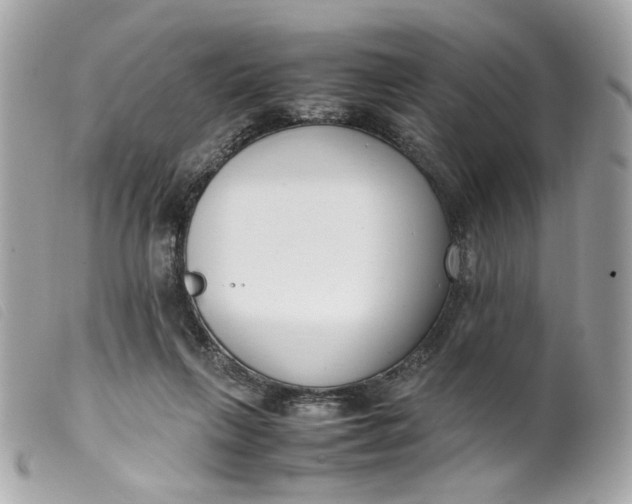 X0000099550263200805301527