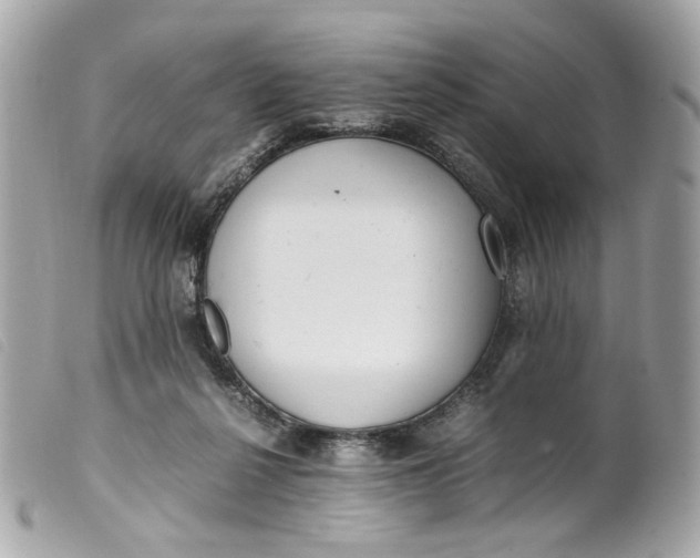 X0000099550264200805301527