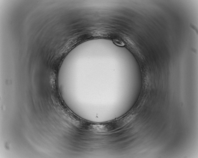 X0000099550265200805301527