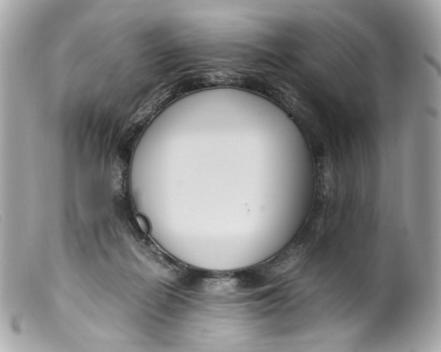 X0000099550266200805301527