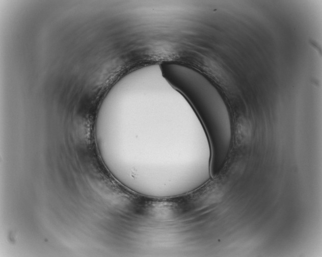 X0000099550268200805301527