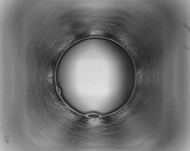 X0000099550269200805301527