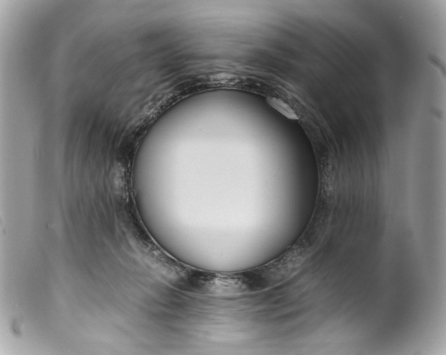 X0000099550270200805301527