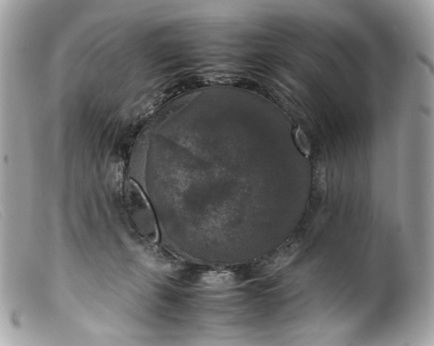 X0000099550271200805301527