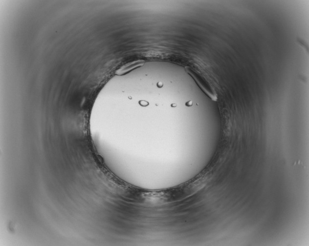 X0000099550273200805301527