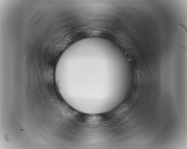 X0000099550274200805301527