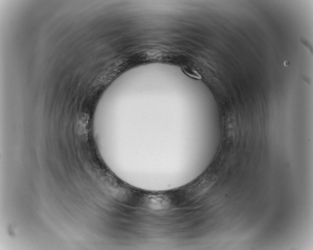 X0000099550275200805301527