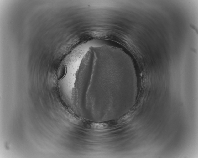 X0000099550277200805301527