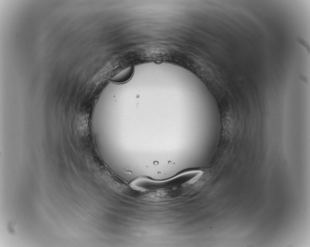 X0000099550278200805301527