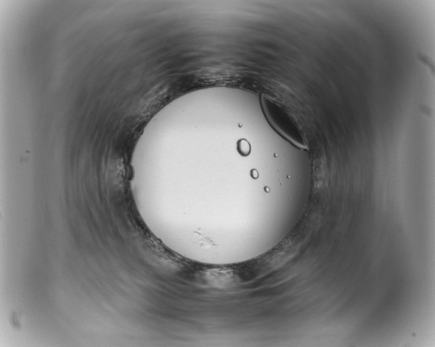 X0000099550279200805301527