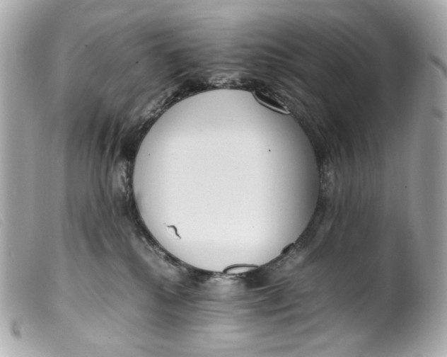 X0000099550280200805301527