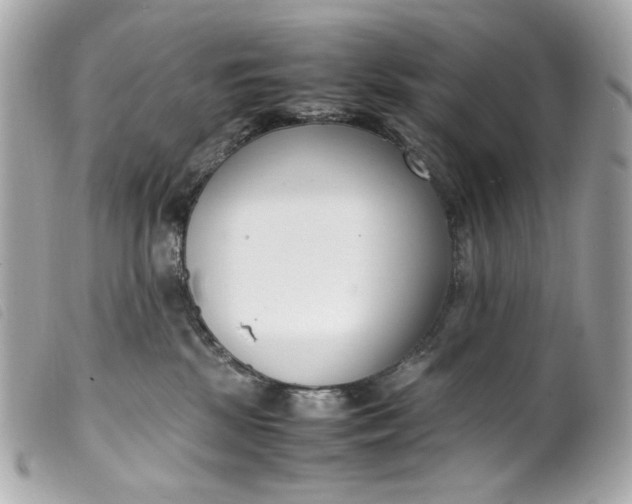 X0000099550281200805301527