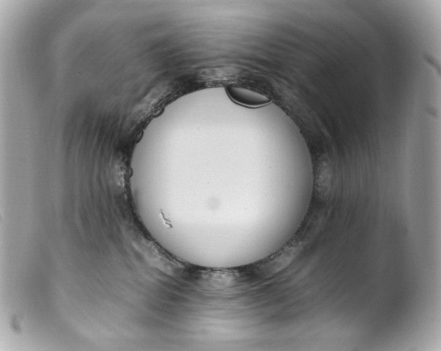 X0000099550282200805301527